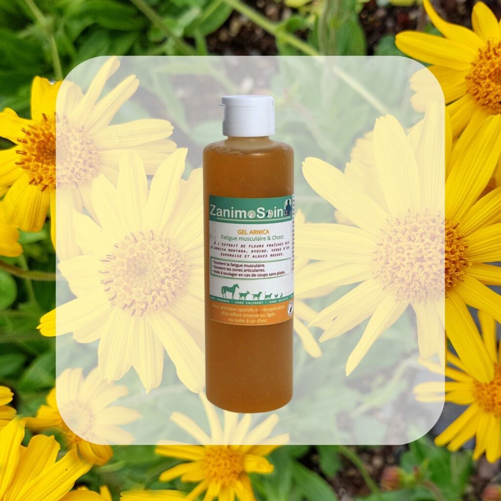 Gel Arnica