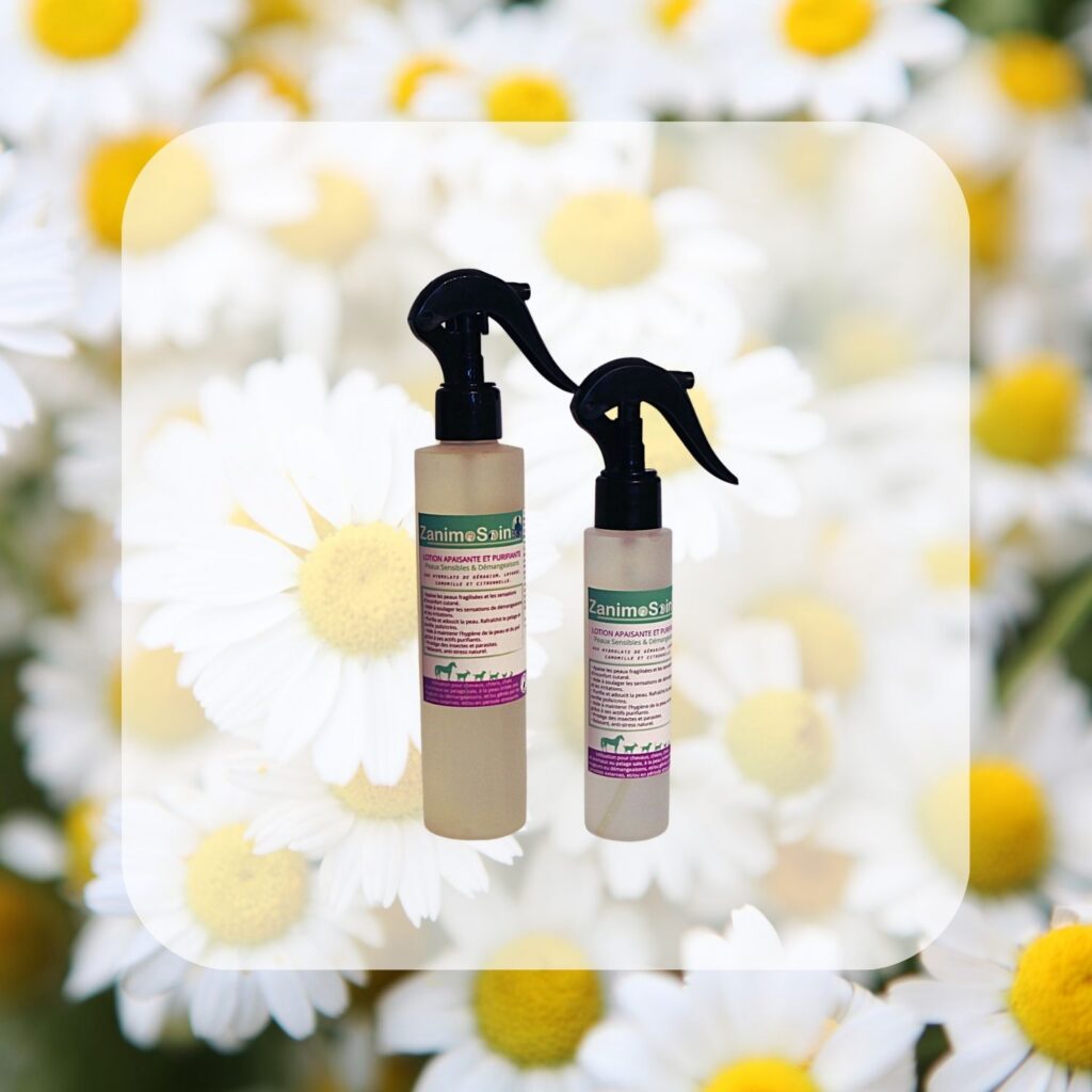 Lotion Apaisante et Nettoyante