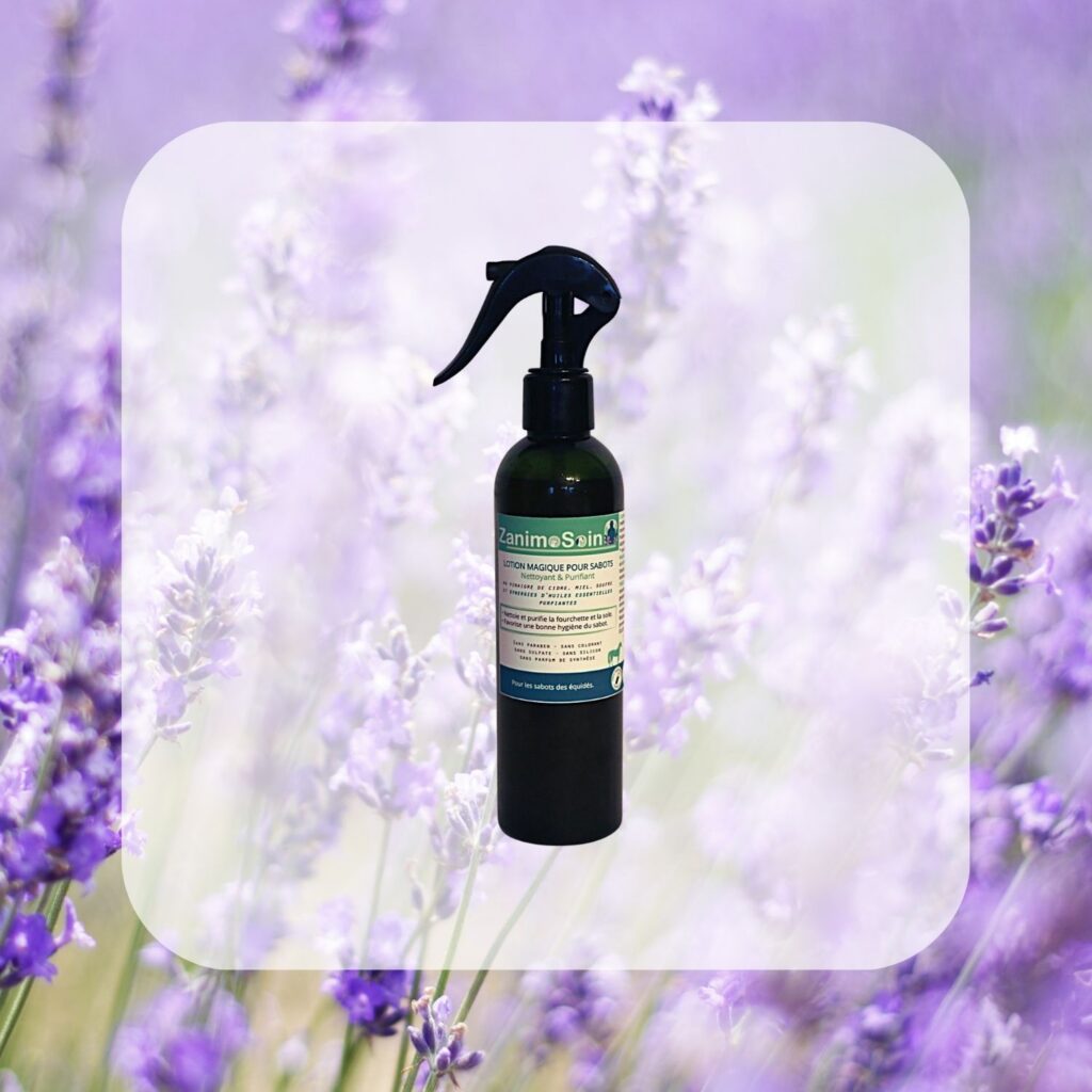 Lotion Magique