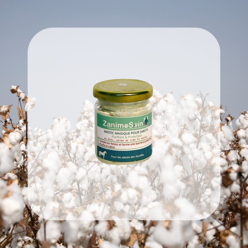 Mastic Magique